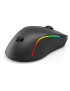 Mouse gaming wireless REDRAGON Deicide Lite M816, 10000 dpi, Optic, RGB, Black