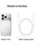 Telefon APPLE iPhone 17 Pro, 5G, 256GB, 12GB RAM, Silver
