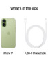 Telefon Apple iPhone 17, 256GB, 8GB RAM, 5G, Sage