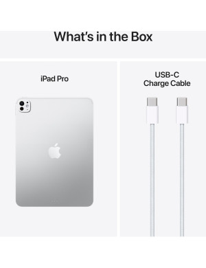 APPLE iPad Pro 11, M5, 2TB, Standard Glass, Wi-Fi, SILVER