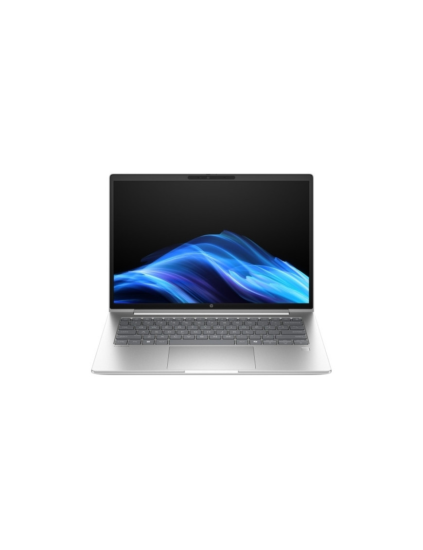 Laptop HP ProBook 4 G1a AD2F5ET, AMD Ryzen 7 250, 14 inch, RAM 24GB, SSD 1TB, AMD Radeon 780M, Windows 11 Pro, Pike Silver