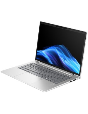 Laptop HP ProBook 4 G1a AD2F5ET, AMD Ryzen 7 250, 14 inch, RAM 24GB, SSD 1TB, AMD Radeon 780M, Windows 11 Pro, Pike Silver