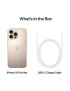 Telefon APPLE iPhone 16 Pro Max, 256GB, 8GB RAM, 5G, Desert Titanium
