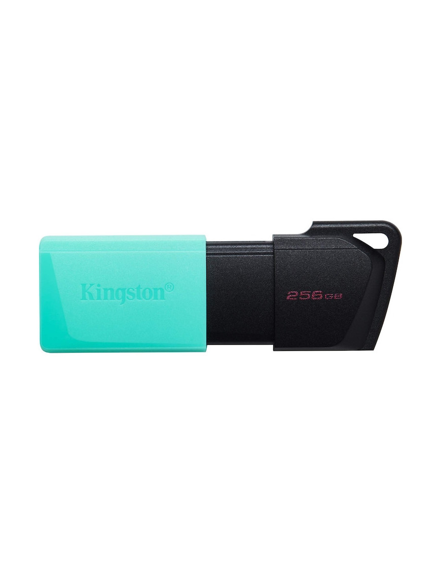 MEMORIE USB KINGSTON 256GB DataTraveler Exodia M DTXM/256GB