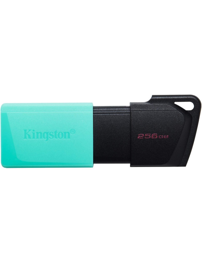 MEMORIE USB KINGSTON 256GB DataTraveler Exodia M DTXM/256GB