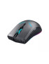 Mouse gaming wireless THUNDEROBOT JG0807002 – precizie de 16000 DPI și iluminare RGB