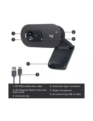Camera Web LOGITECH C505 960-001364, HD, USB, Black